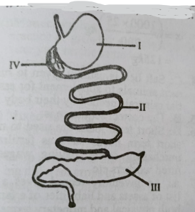 Diagram for this question