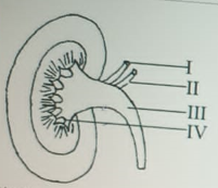Diagram for this question
