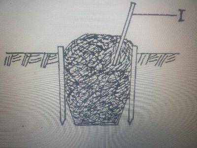 Diagram for this question