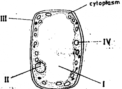 Diagram for this question