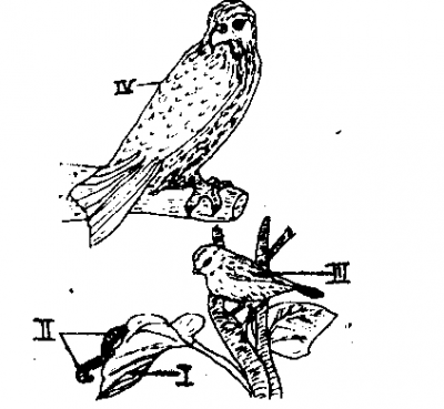 Diagram for this question