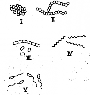 Diagram for this question