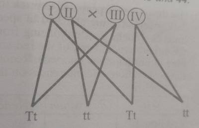 Diagram for this question