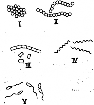 Diagram for this question
