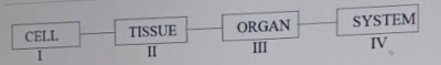 Diagram for this question
