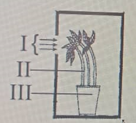 Diagram for this question