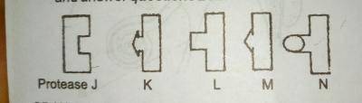 Diagram for this question