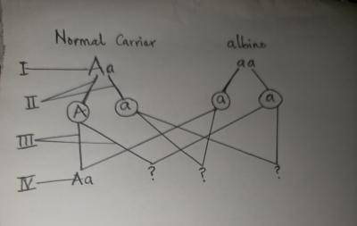 Diagram for this question