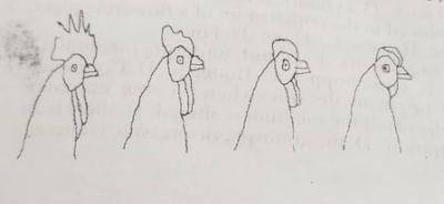 Diagram for this question