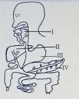 Diagram for this question