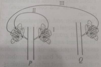 Diagram for this question