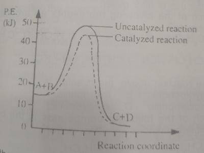 Diagram for this question