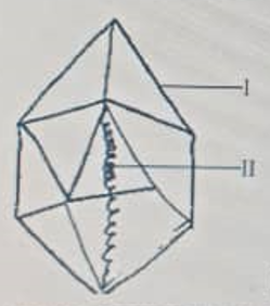 Diagram for this question
