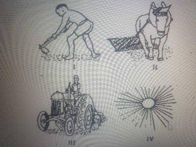Diagram for this question