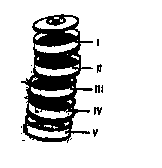 Diagram for this question