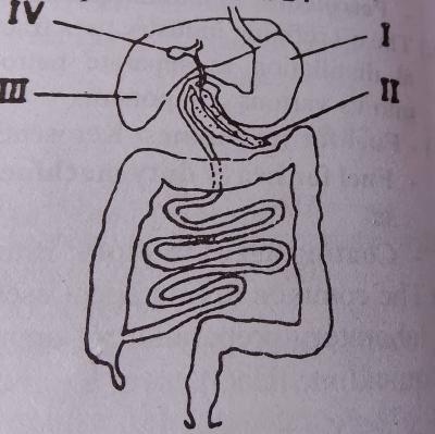 Diagram for this question