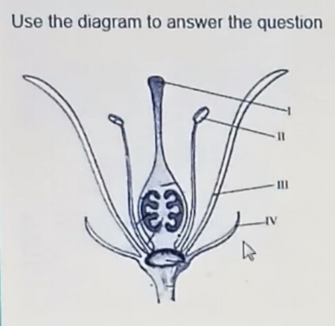 Diagram for this question