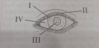 Diagram for this question