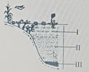 Diagram for this question