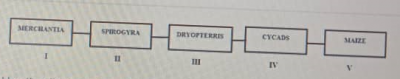 Diagram for this question