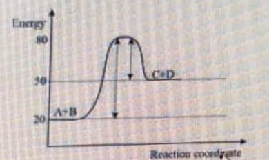 Diagram for this question