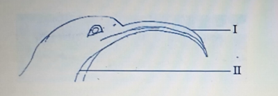 Diagram for this question