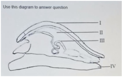 Diagram for this question