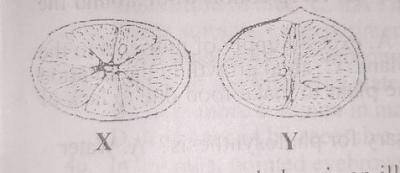 Diagram for this question