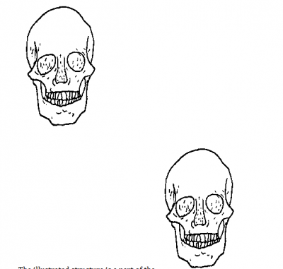 Diagram for this question