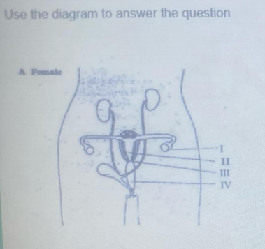 Diagram for this question