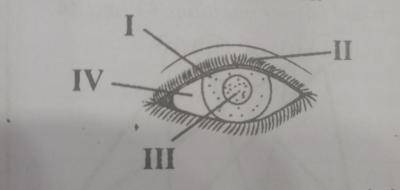 Diagram for this question