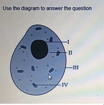 Diagram for this question