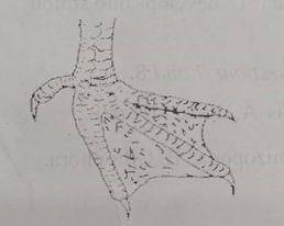 Diagram for this question