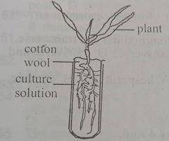 Diagram for this question