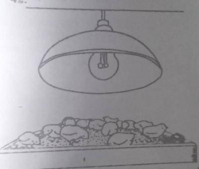 Diagram for this question