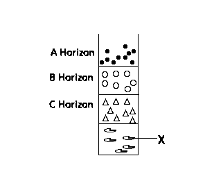 Diagram for this question
