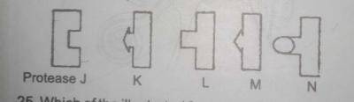 Diagram for this question