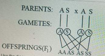 Diagram for this question
