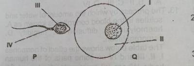 Diagram for this question