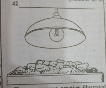 Diagram for this question