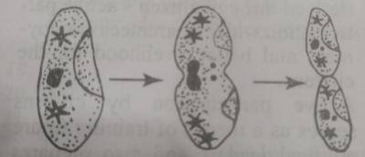 Diagram for this question